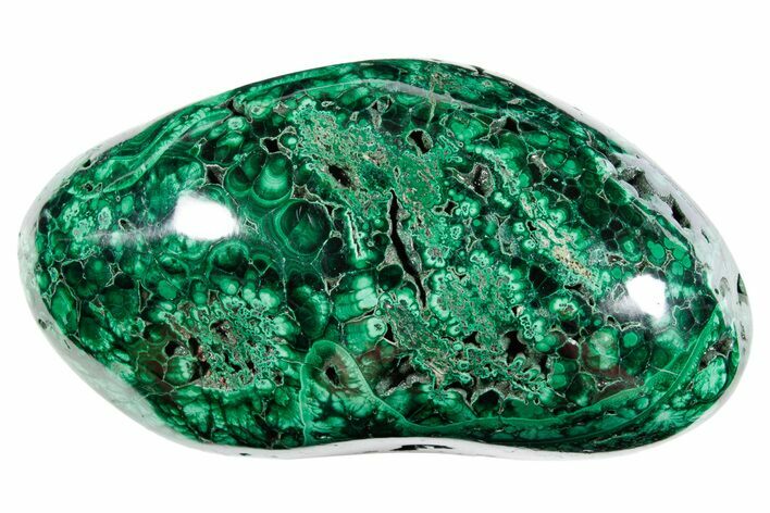 Flowery Polished Malachite Specimen - DR Congo #360808